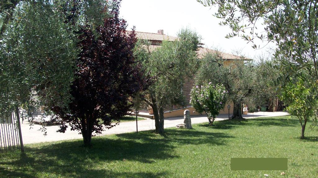 Bed and Breakfast Il Giardino Degli Ulivi Canneto  Екстер'єр фото