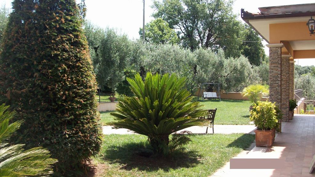 Bed and Breakfast Il Giardino Degli Ulivi Canneto  Екстер'єр фото